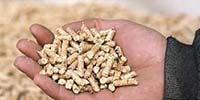 pellets
